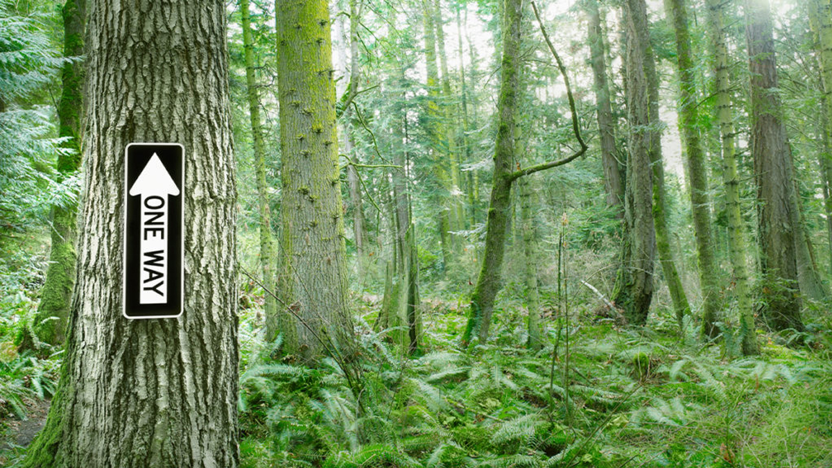 家族企業因應意外的準備策略