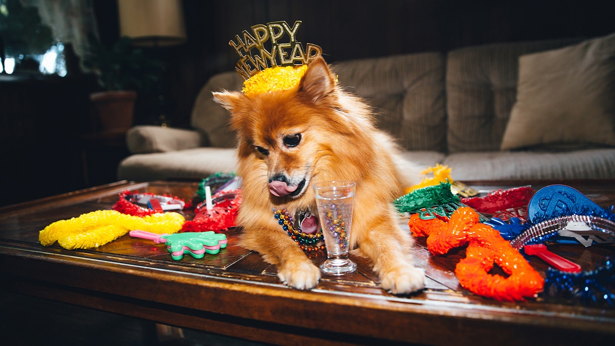 這年頭，幹麼還要新年新目標？