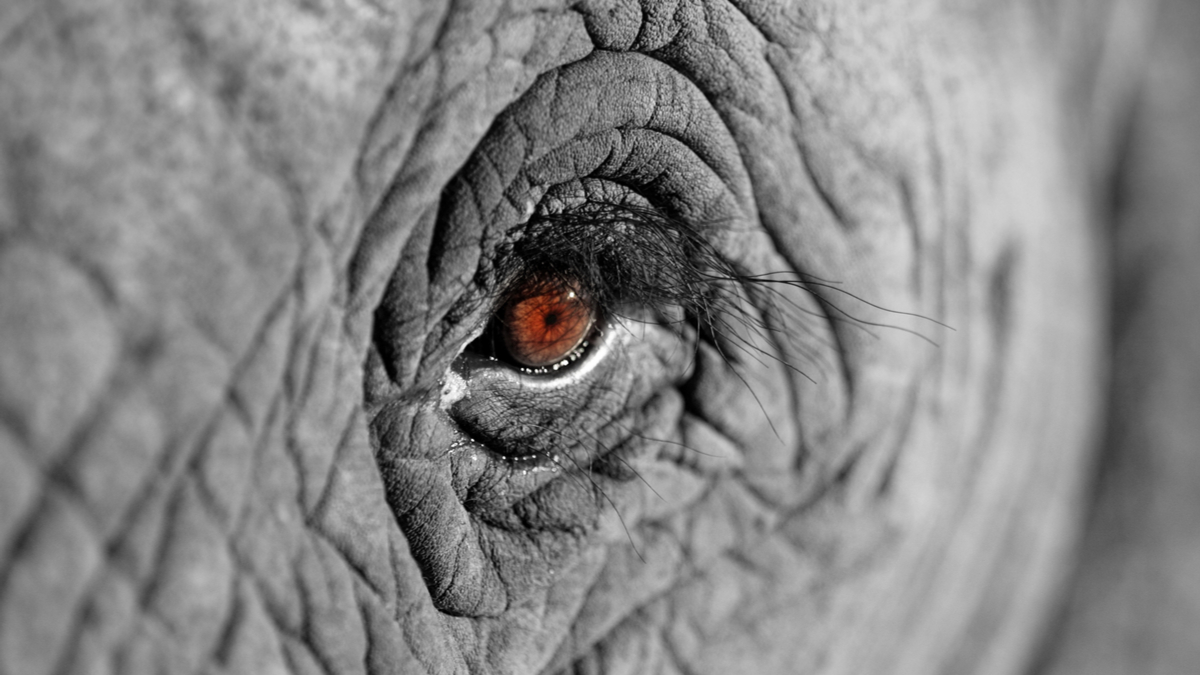 聚焦在重大機會，建立良性的急迫感