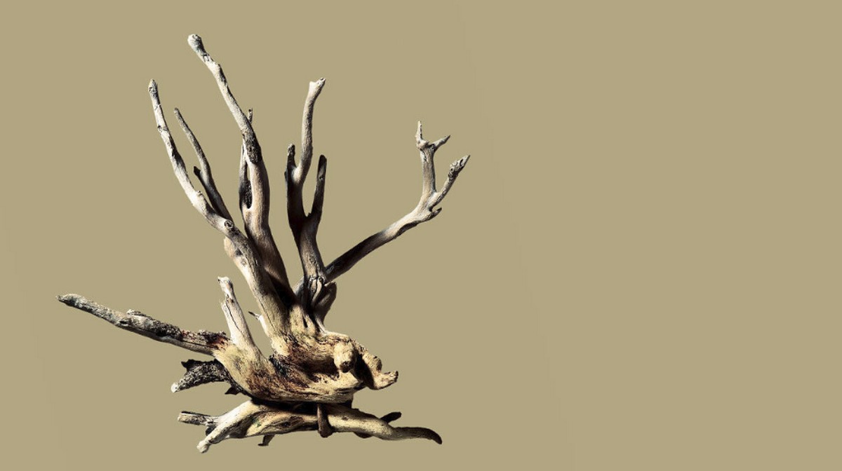 兩大方法激勵好員工更上層樓