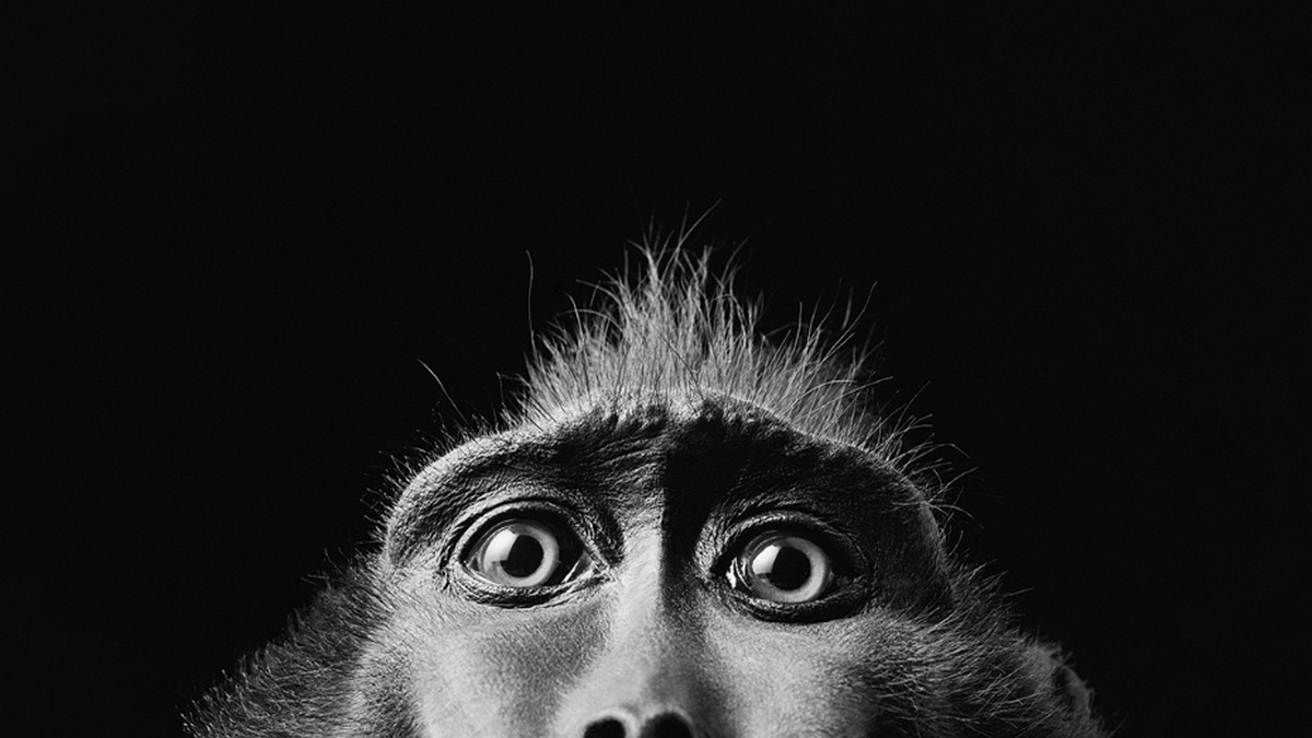 適時出其不意，是個談判好戰術