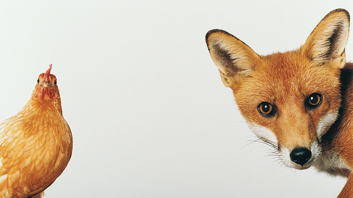 保住對手面子，保障談判成功