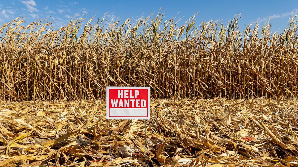 人力不足怎麼辦？人才招募的五大創意策略