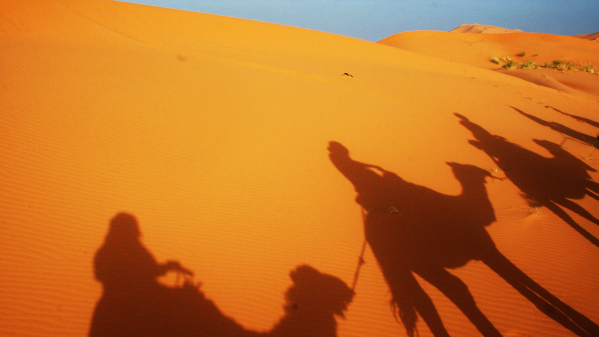 什麼是組織文化？我們為什麼要關心？