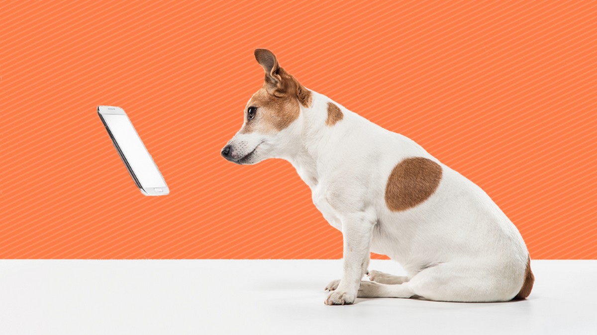 運用社群媒體，連結最忠誠的顧客