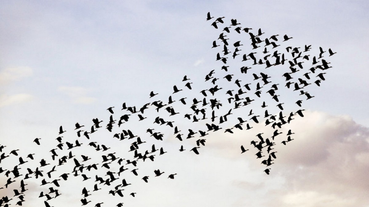 工作歸屬感讓企業員工雙贏