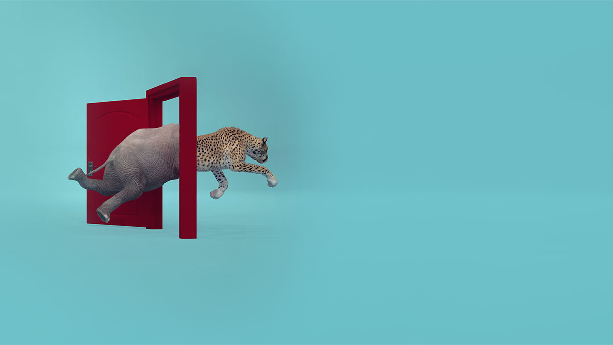 企業華麗轉身，需要雙引擎助力