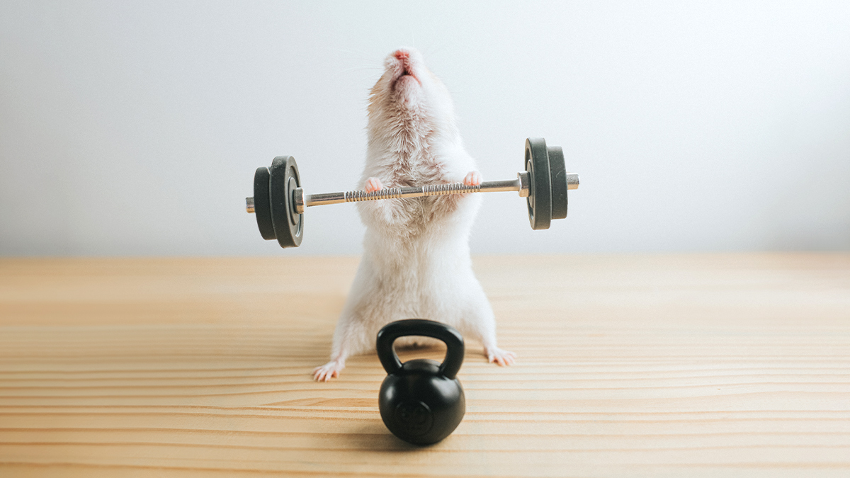 想幫助團隊成長，就給他們跌跌撞撞的空間