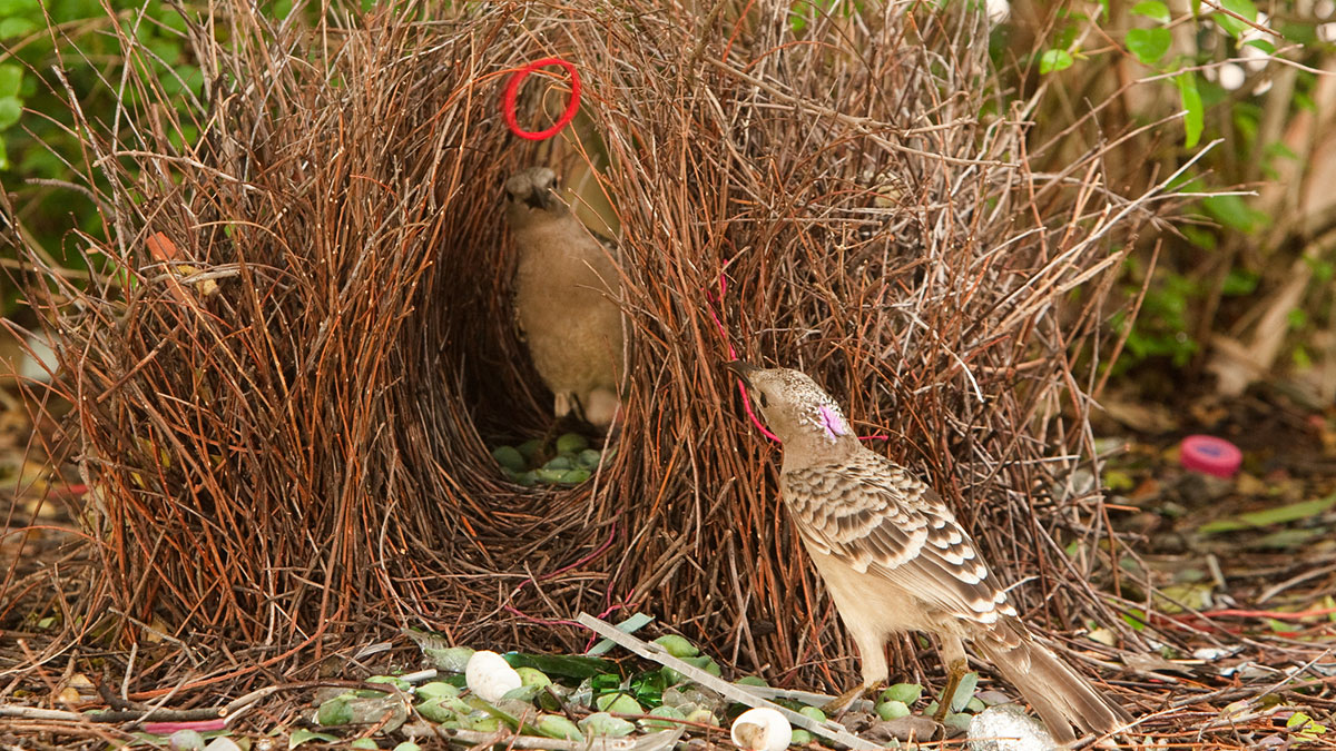 不要等到會議結束才開始採取行動