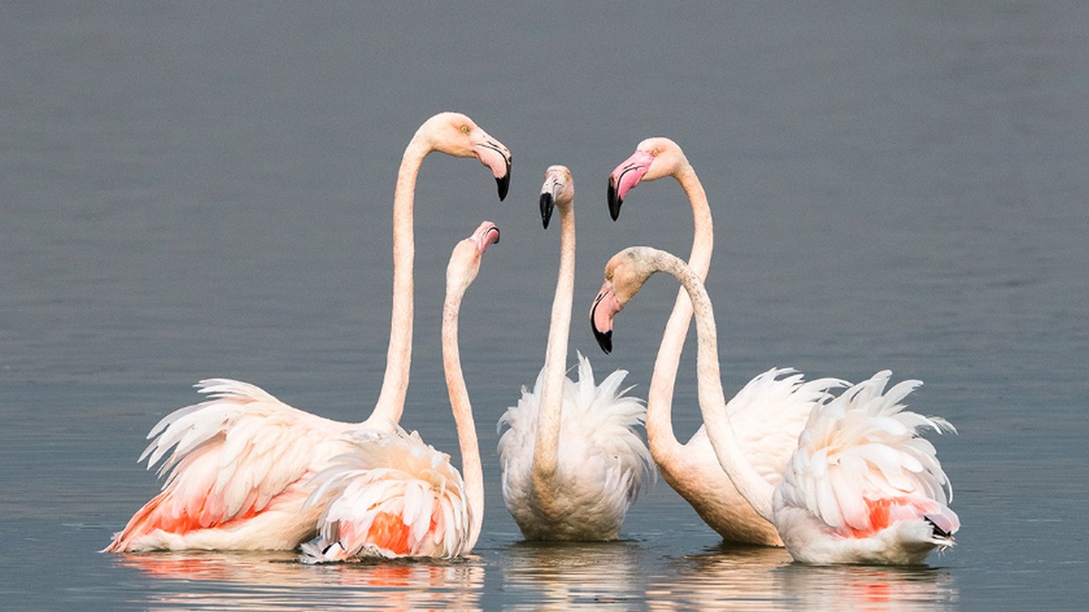 找到家族企業「剛剛好」的衝突