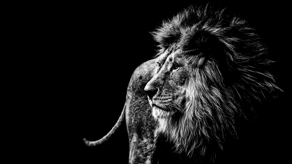 不是領導人，卻能發揮領導力