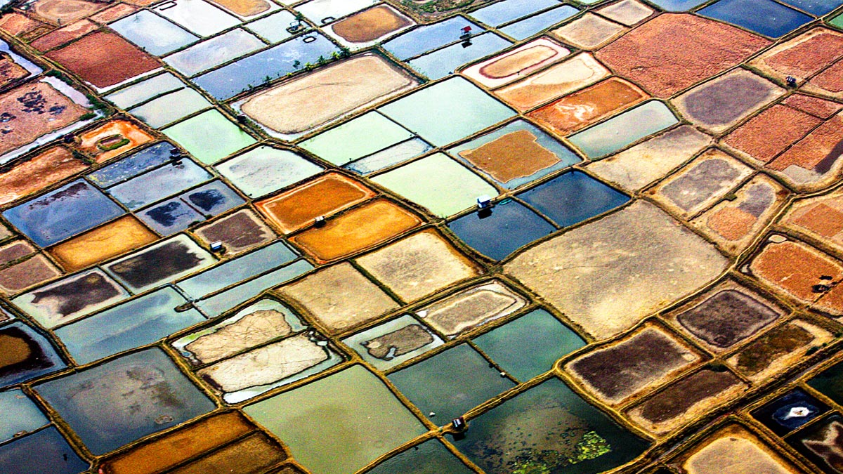 執行長需要更注意資本配置