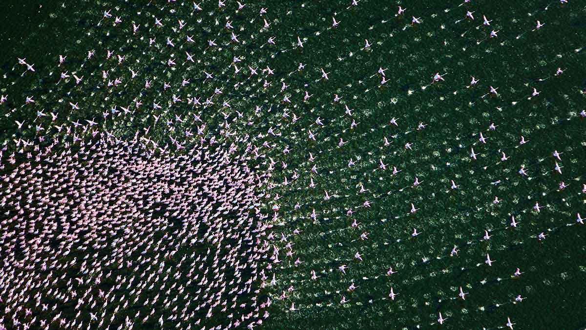 人人都可以是創業家