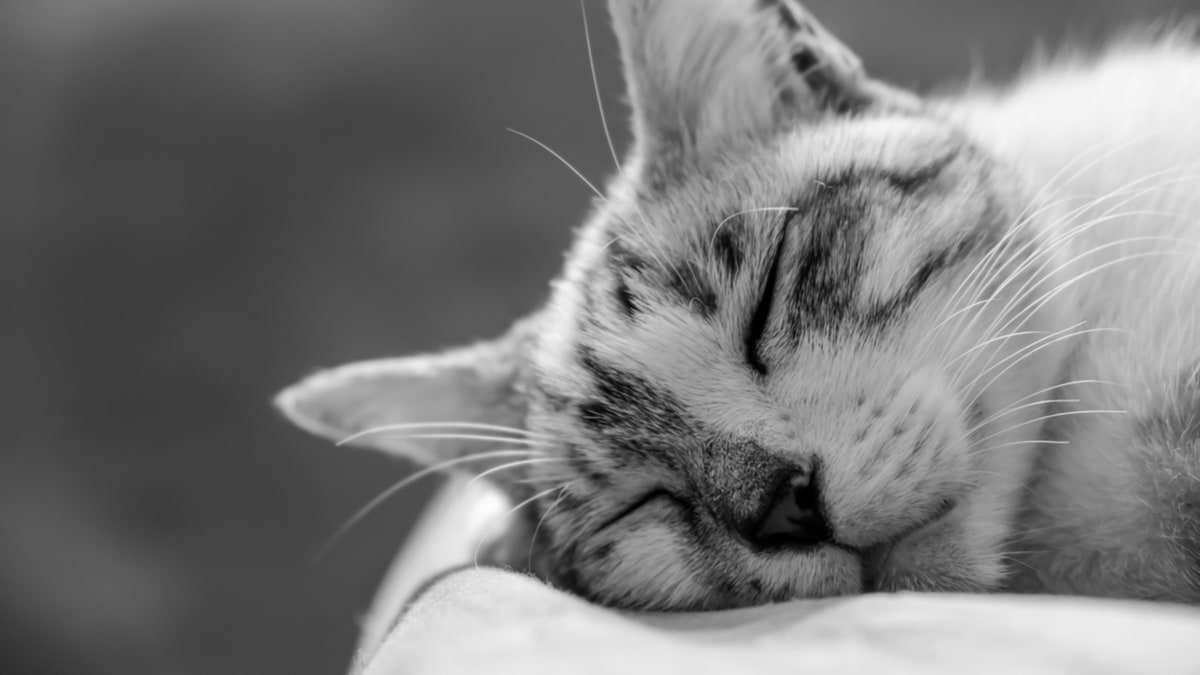 讓內心平靜的快速簡易方法