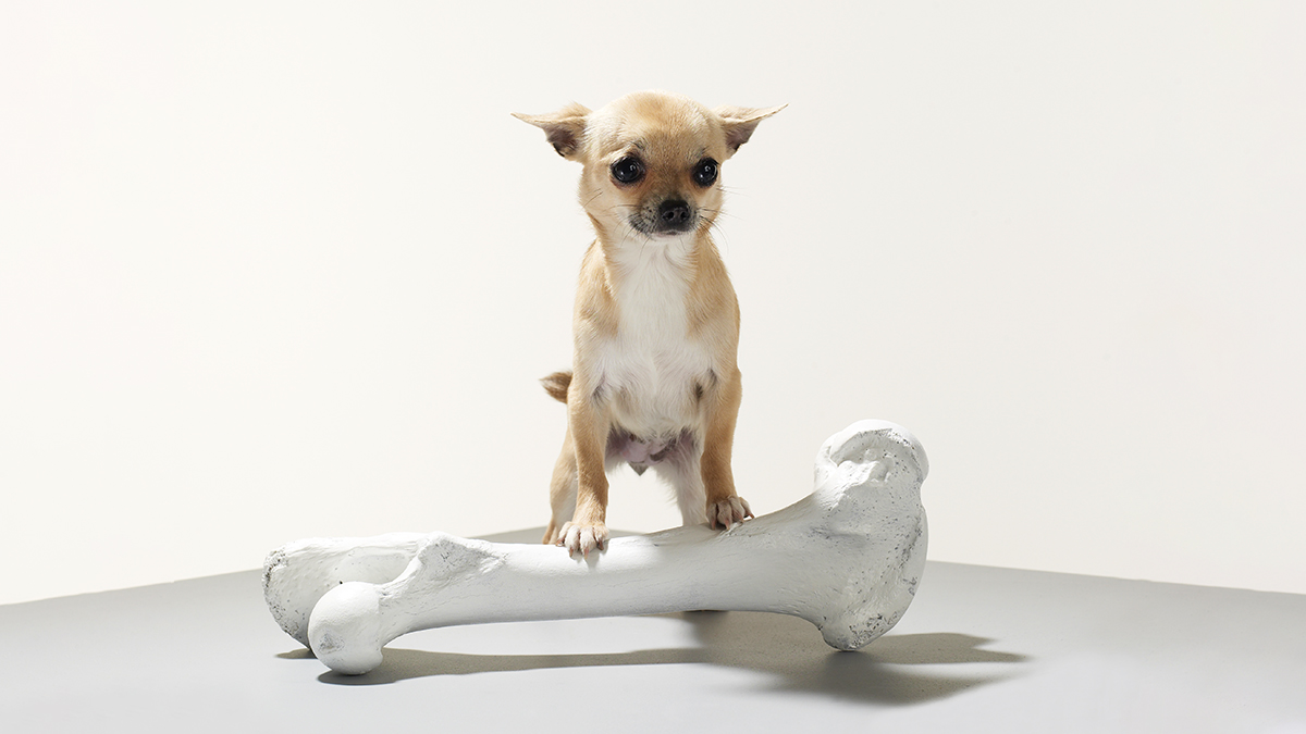 成就自己的五項練習：根據最佳自我，繼續更好的發展