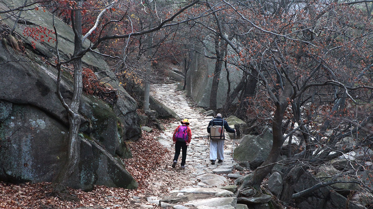 韓國圍棋皇帝鍛鍊集中力的祕訣：每天一小時，學著從壓力中解脫