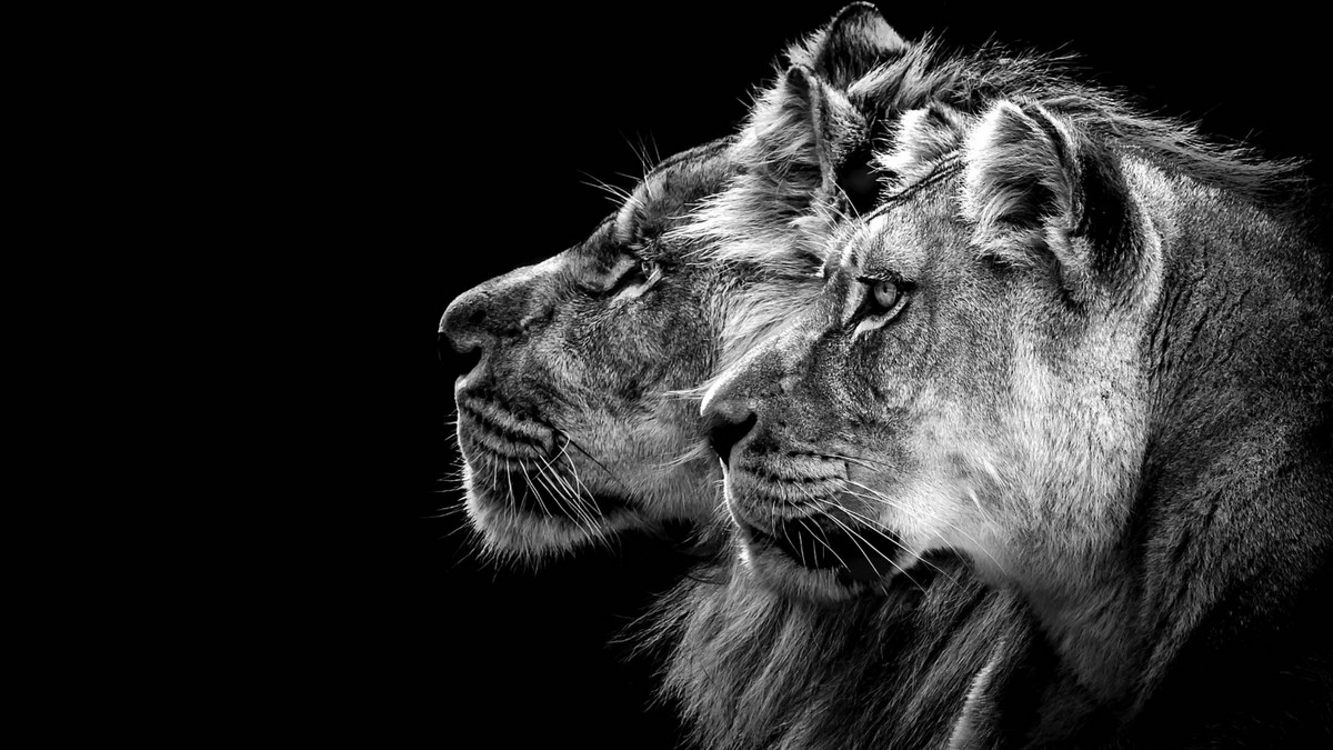 駕馭三大挑戰，雙職涯伴侶成功之道