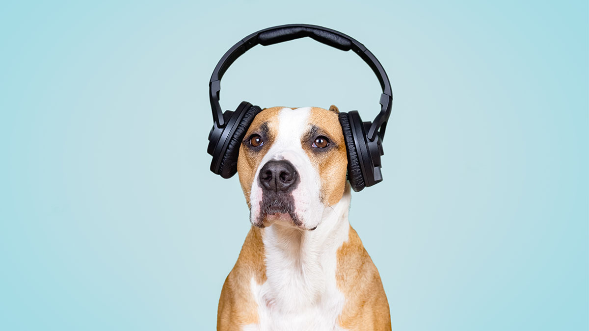 別讓「雜訊」毀了你的決斷！組織如何提升專業判斷的品質？