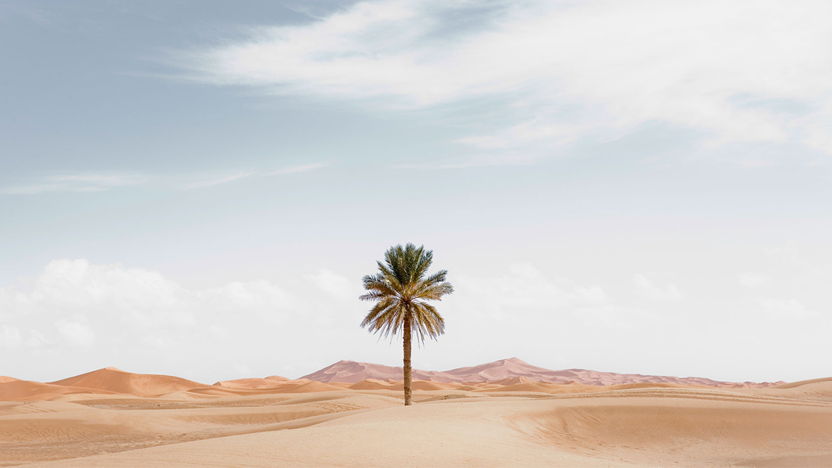你的組織是變革餘生者，還是變革大贏家？