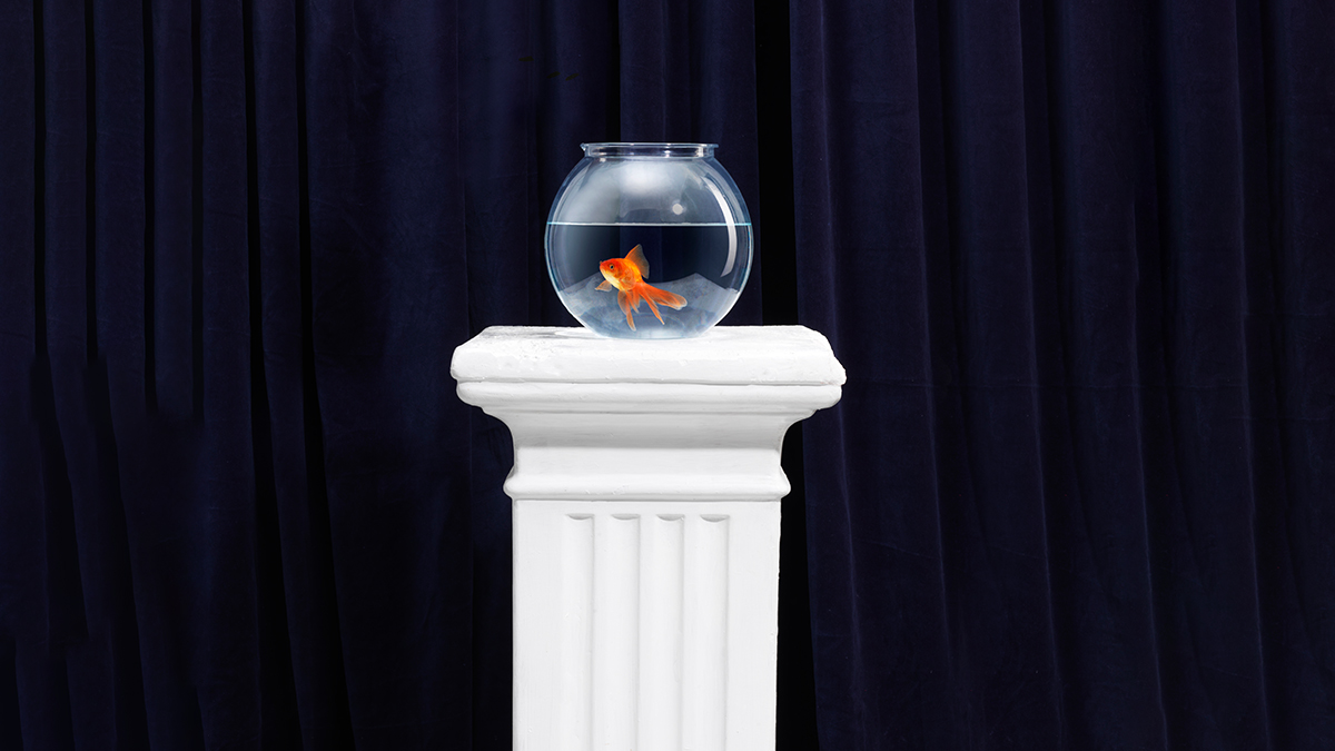 成為上司寵兒，等於深入險境