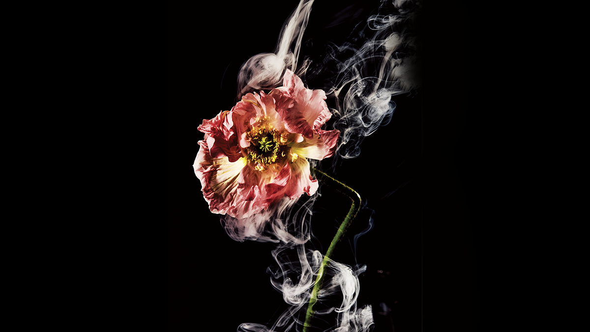 別讓金融惡行有機可乘