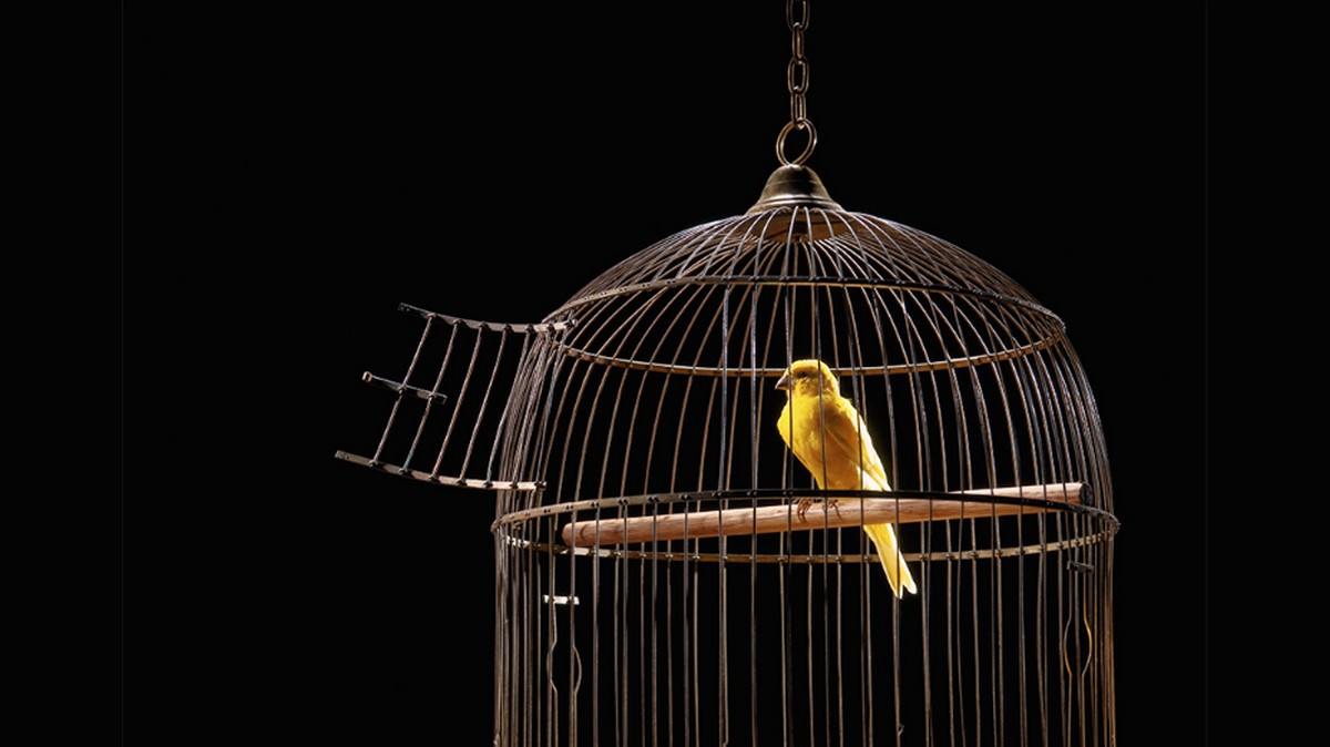 三個原因讓你「追隨熱情」好難