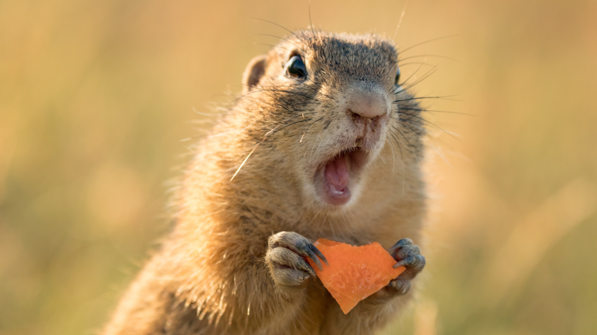 上司對你的真正期望