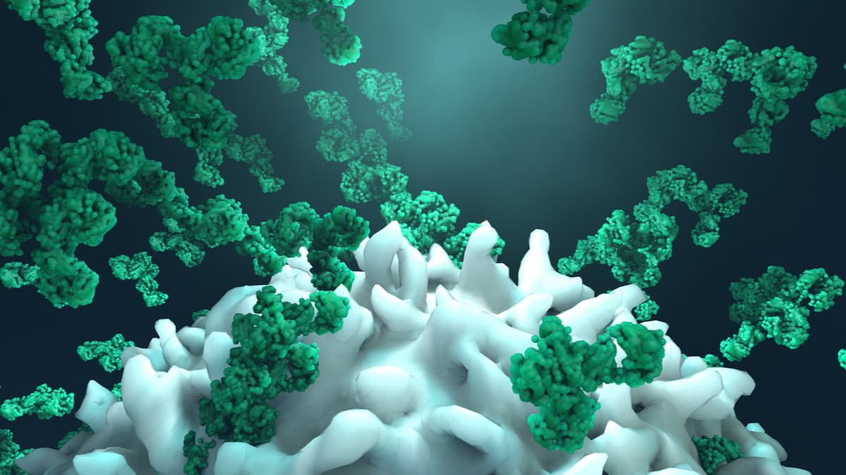 別讓你的頭腦攻擊你的心