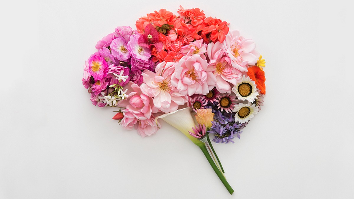 讓團隊的創意自由