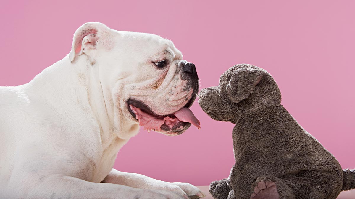 成為更好的傾聽者