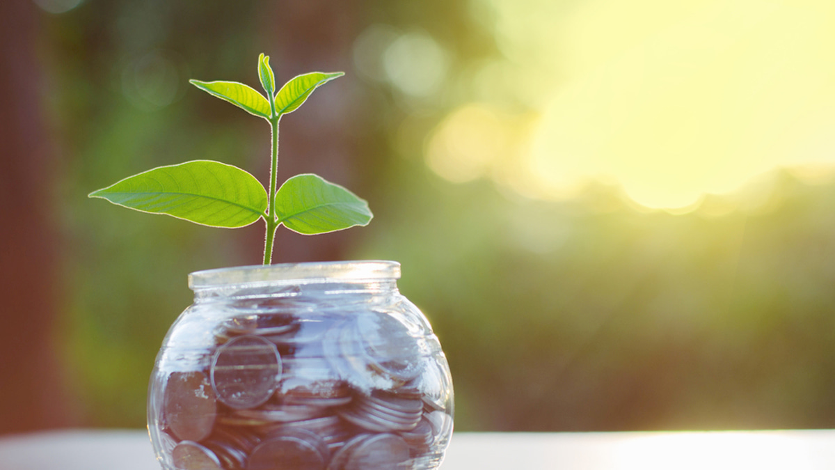 我把策略變績效了