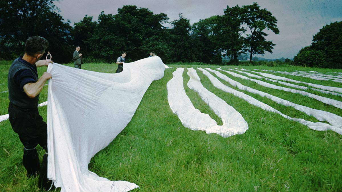 以色列新創公司如何擴展規模