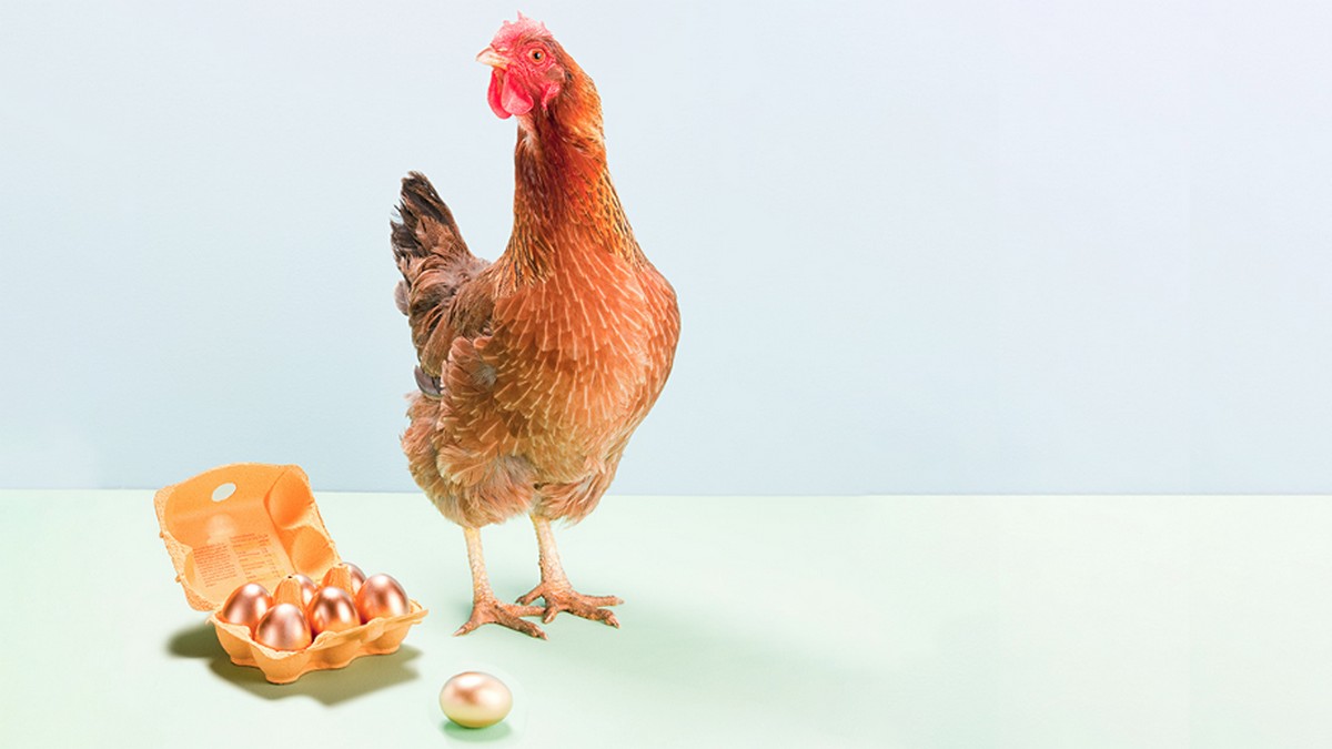 如何避免找錯執行長接班人