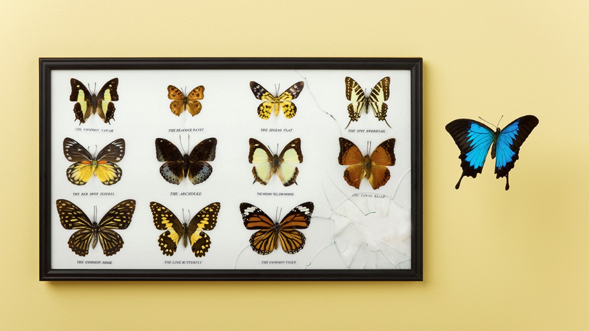 準備好成為自由工作者了嗎？