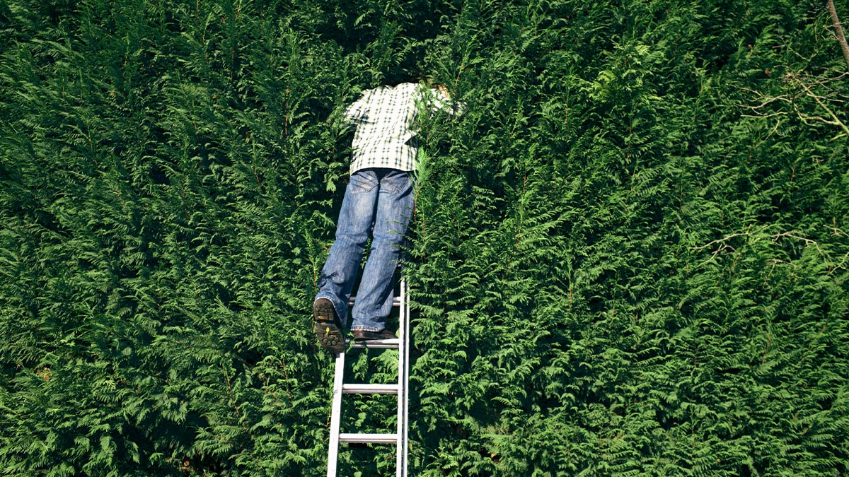 四項方法，引導好奇心成為工作利器