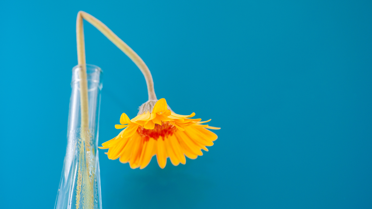 以社會責任提升企業價值