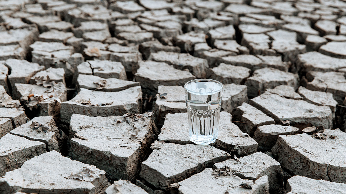 Oleksii Halutva/Shutterstock