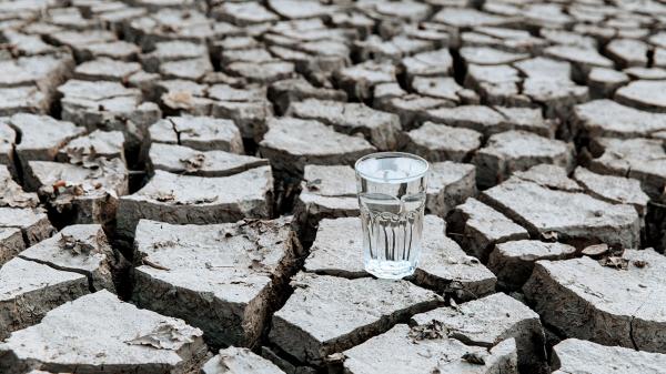 農場抗旱大作戰