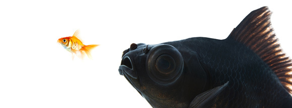 行銷的數位新角色排擠到資訊科技