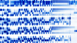 醫療業十大潛力人工智慧應用