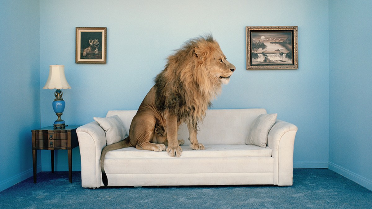 在低風險環境中練習你的領導力