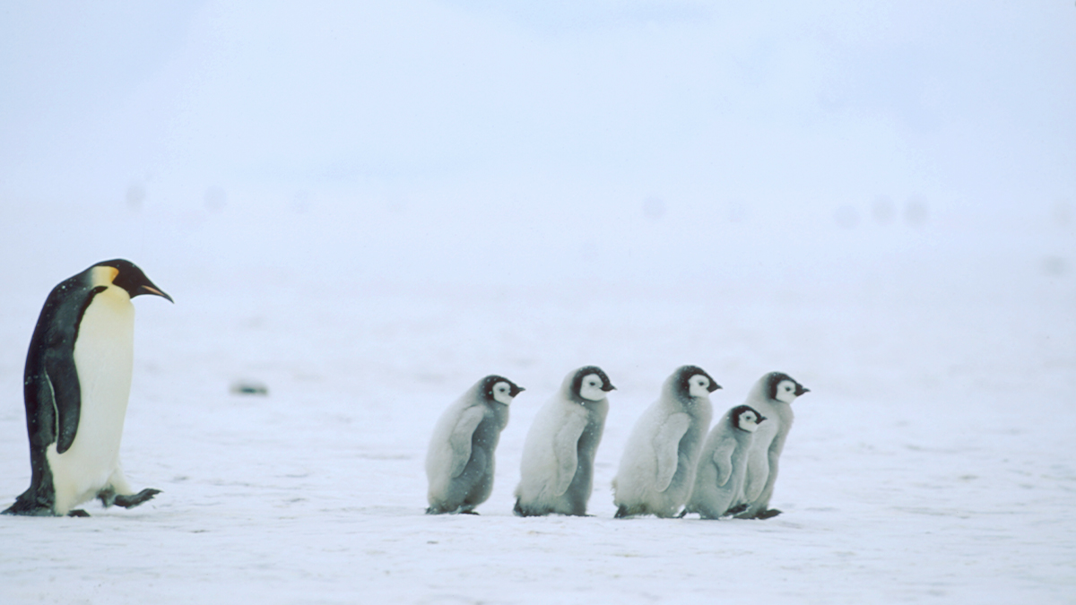 領導人成功委派工作的八種方式