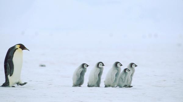 領導人成功委派工作的八種方式