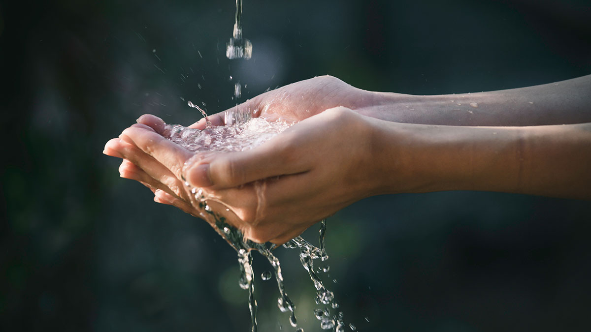 新知識就是競爭力！以「A-R-T」原則催動知識活水