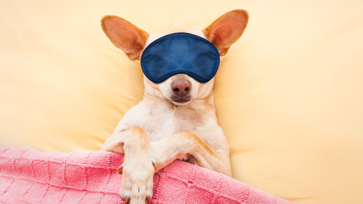 為什麼好好對自己，這麼重要？