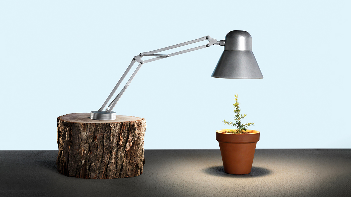 什麼都沒變，怎麼拯救地球？