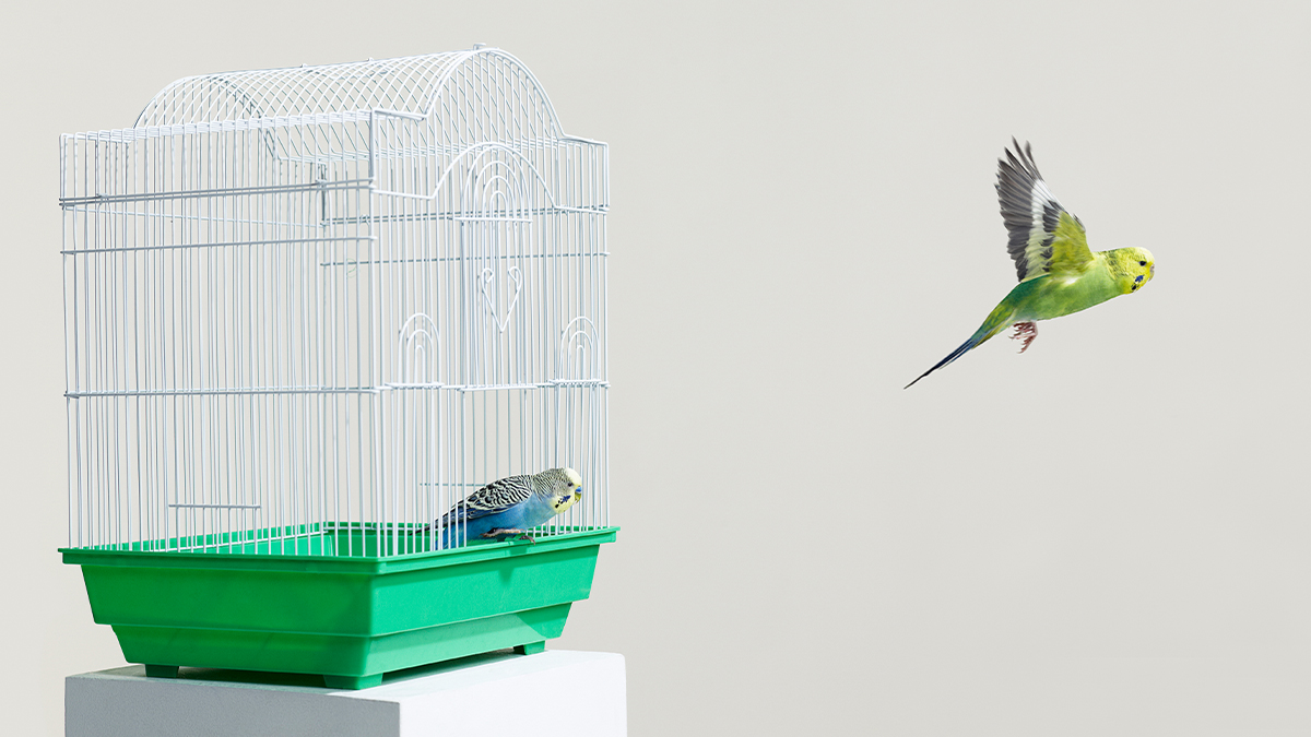 在不確定年代，制定策略有三大關鍵