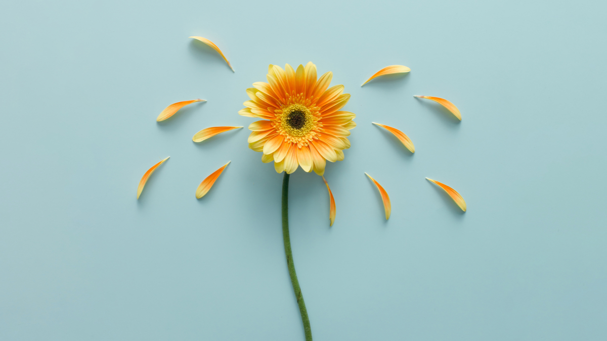 你真的可以增進你的情緒智慧嗎？