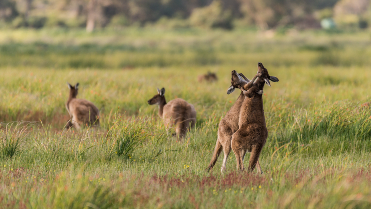 60秒提高你的業務反應力