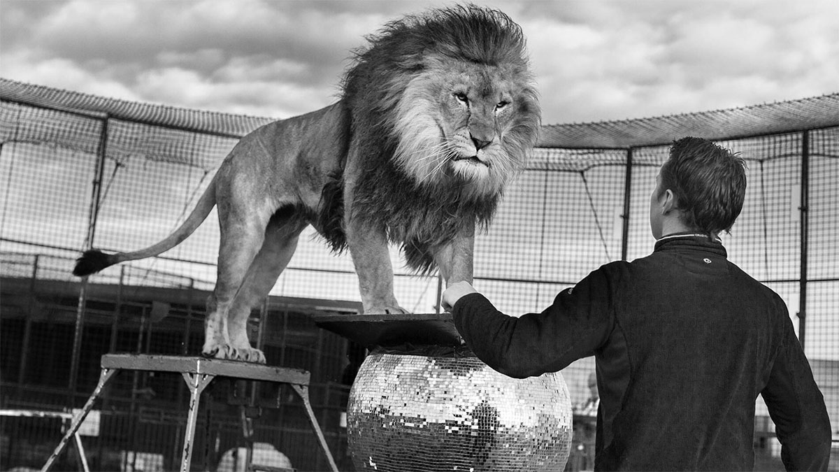 化生成式AI為競爭優勢